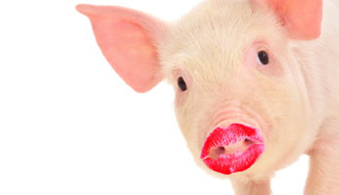 Lipstick on a pig